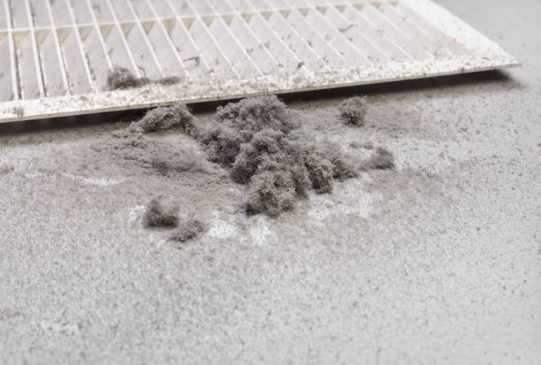 Best Home Air Vent Cleaning  in Huntington, WV