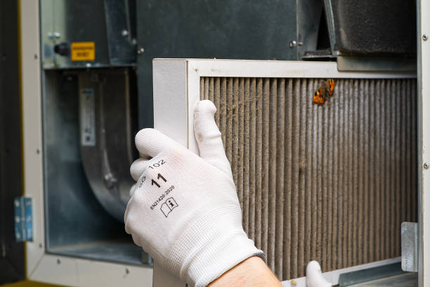Best Air Duct Mold Removal  in Huntington, WV
